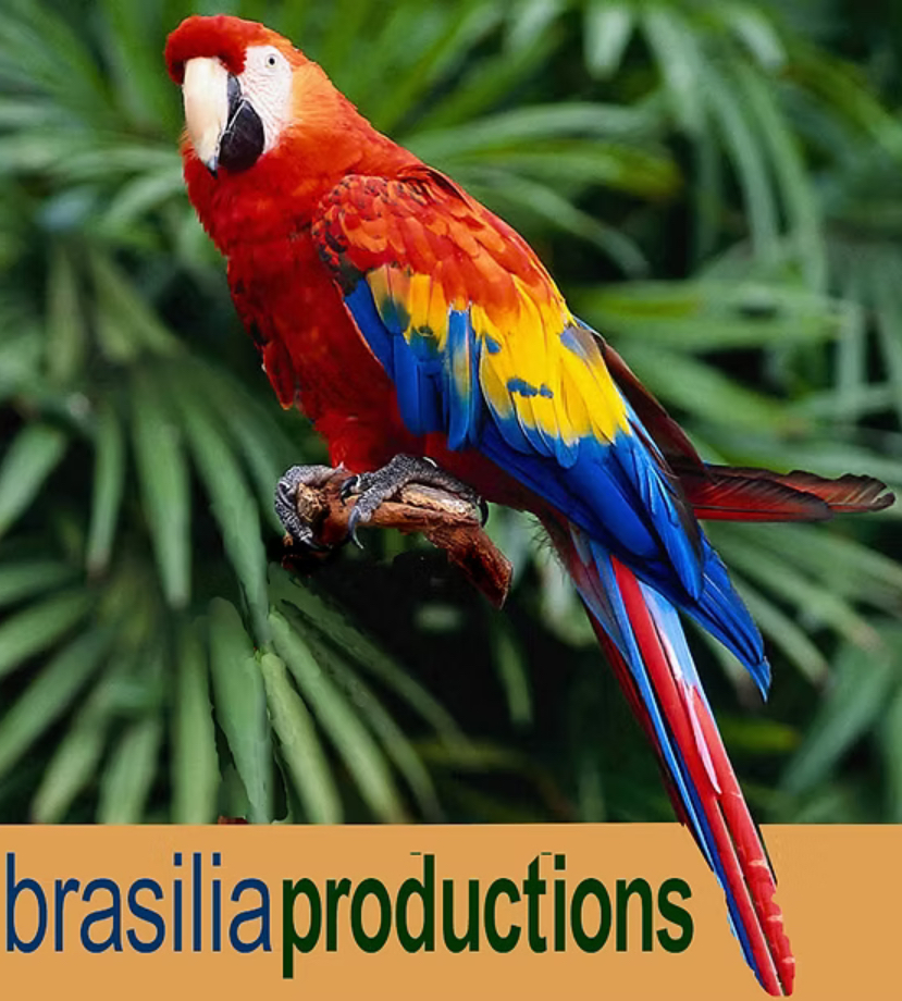 Brasilia Productions